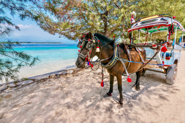 cidomo gili Trawangan