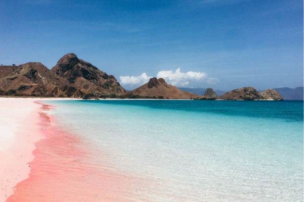 pantai pink Lombok