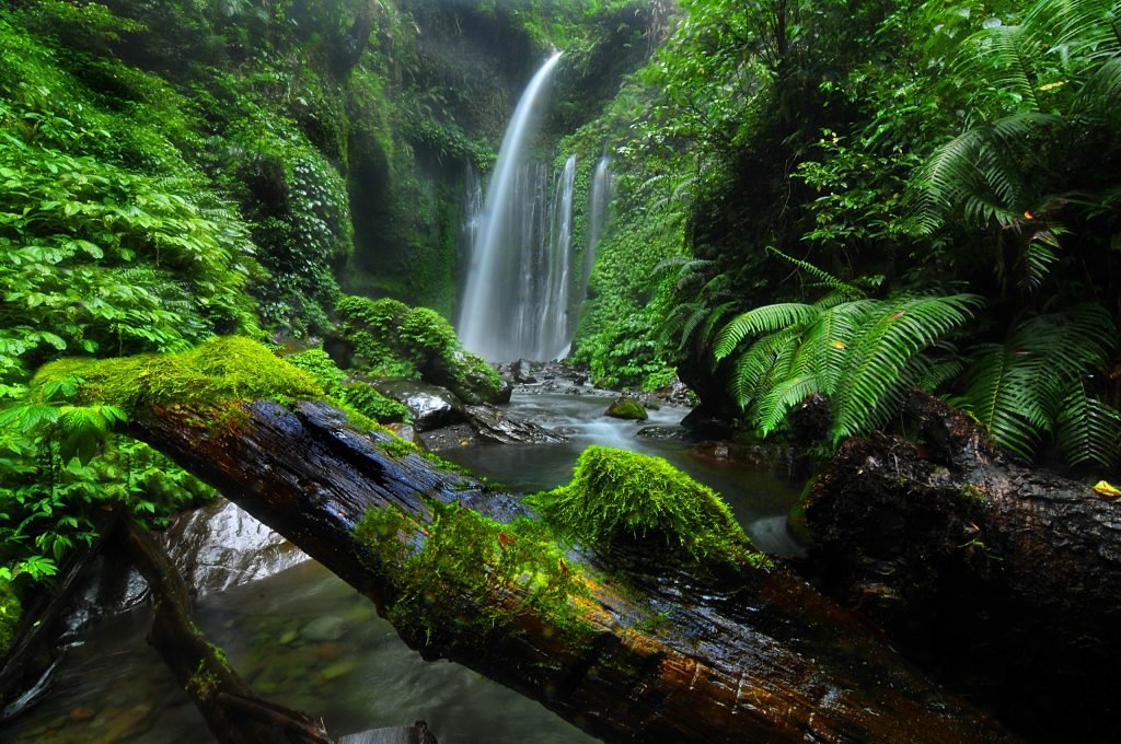 Waterfall Tour Lombok