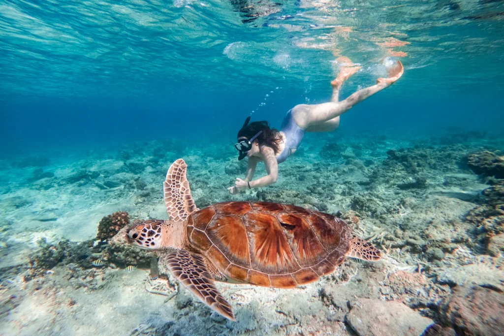 Gili snorkeling tour 