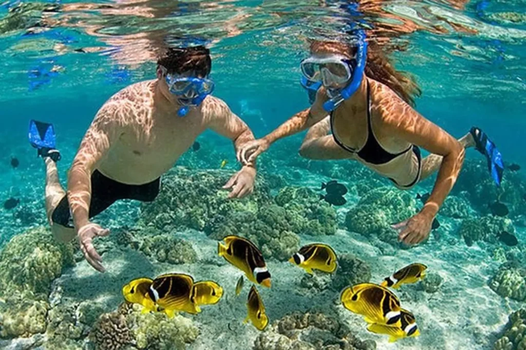 Gili snorkeling tour 