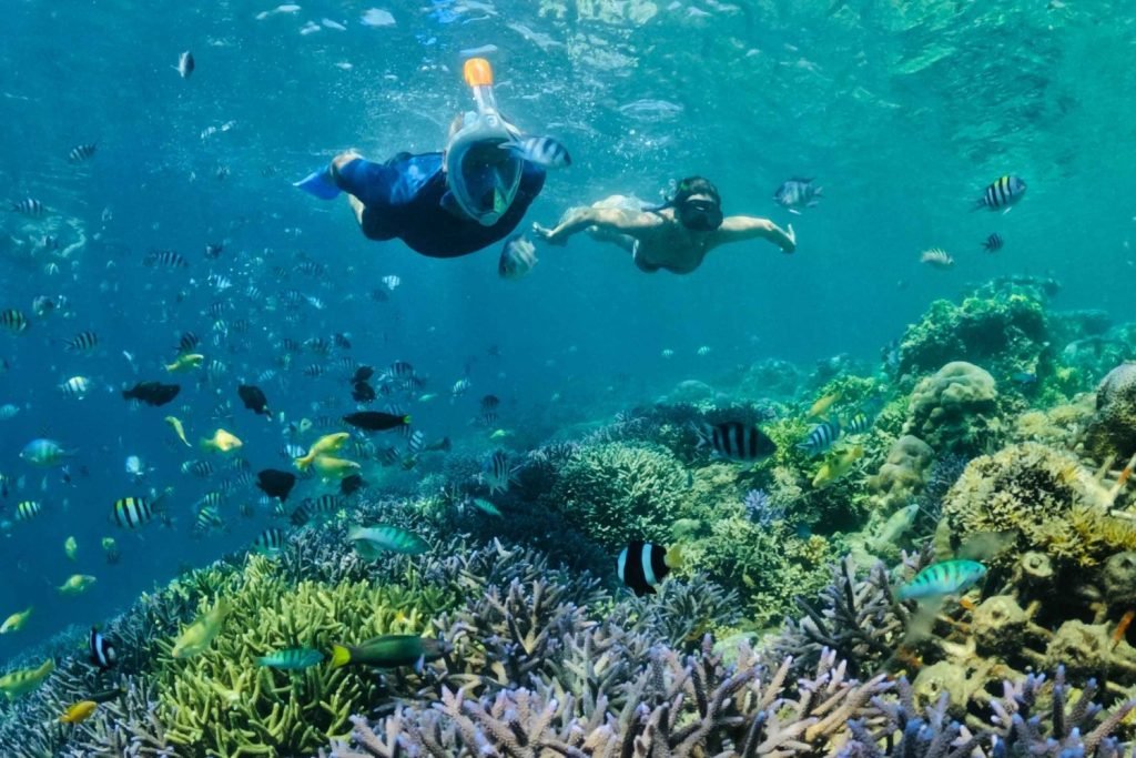 Snorkeling Kuta Lombok