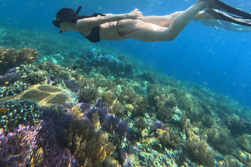 Snorkeling Kuta Lombok