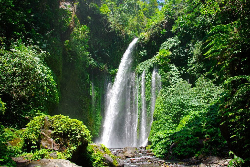 Air Terjun Senaru