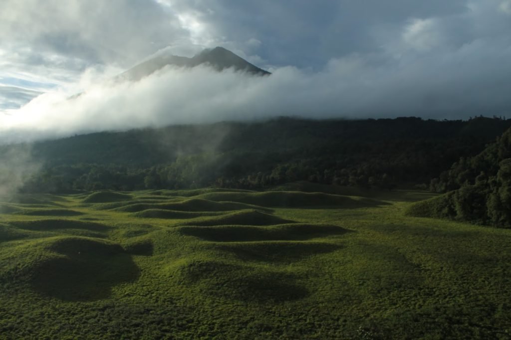 Savana Propok Lombok