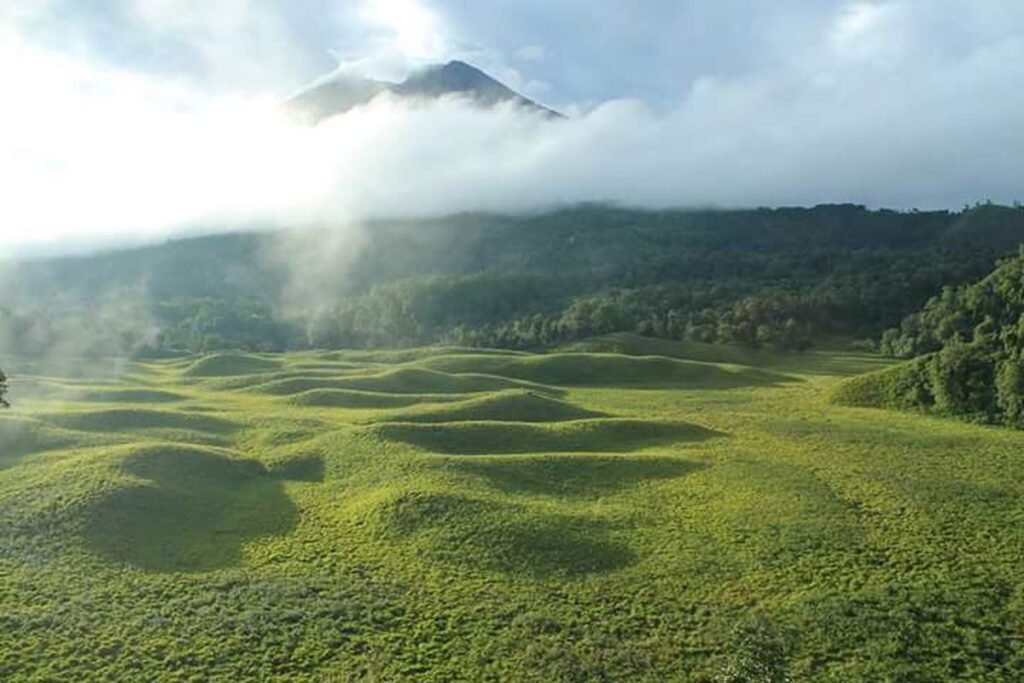 Savana Propok berapa MDPL