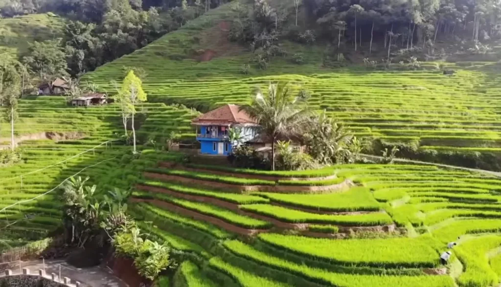 kearifan lokal Lombok