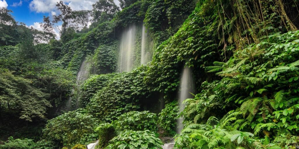 lokasi Benang Kelambu