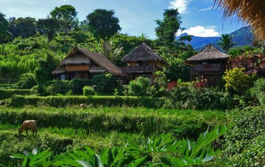 penginapan bebas di Lombok Timur