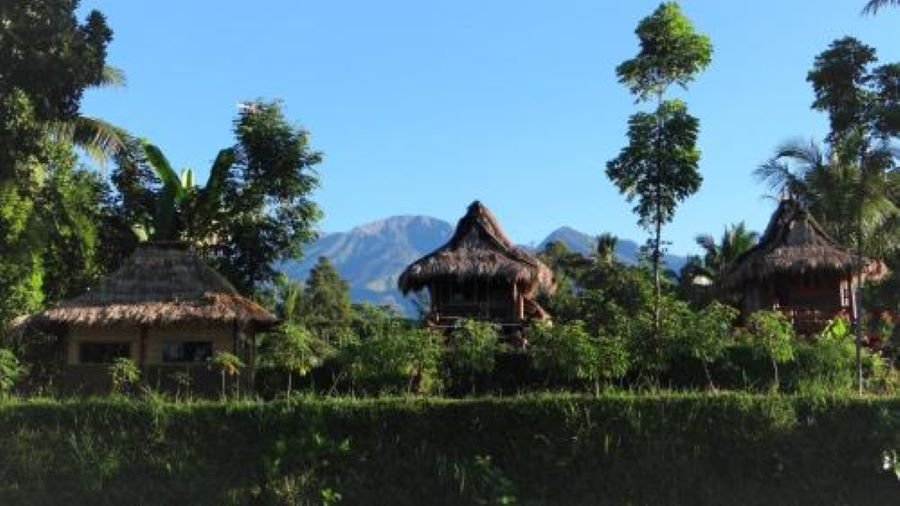 penginapan bebas di Lombok Timur