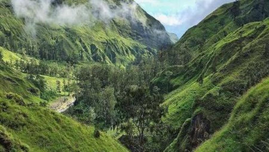 jalur pendakian Rinjani