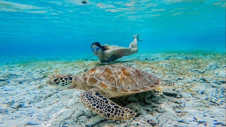 que hacer en Gili Trawangan