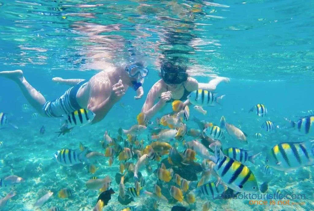 Gili snorkeling trip