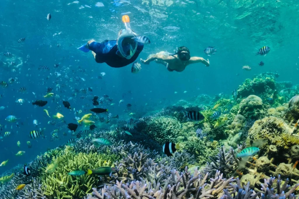 snorkeling Lombok