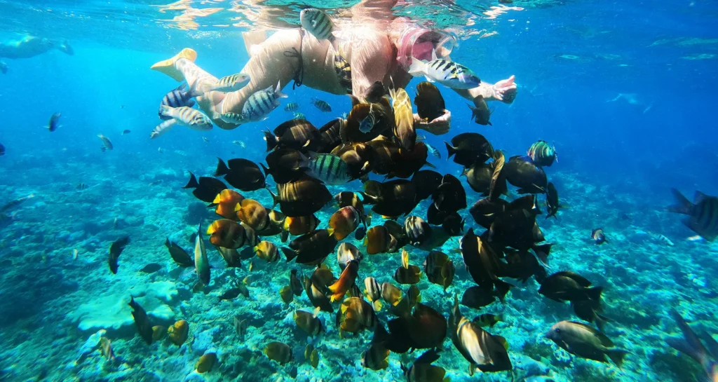 snorkeling Lombok