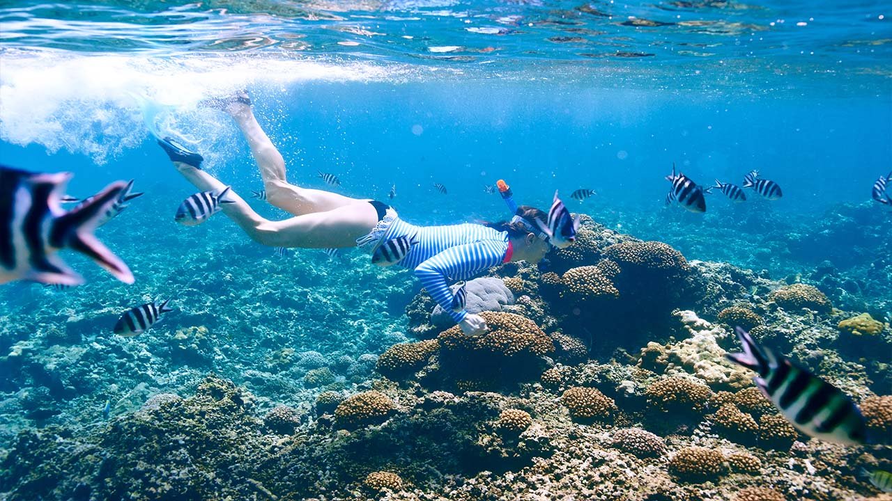 snorkeling Lombok