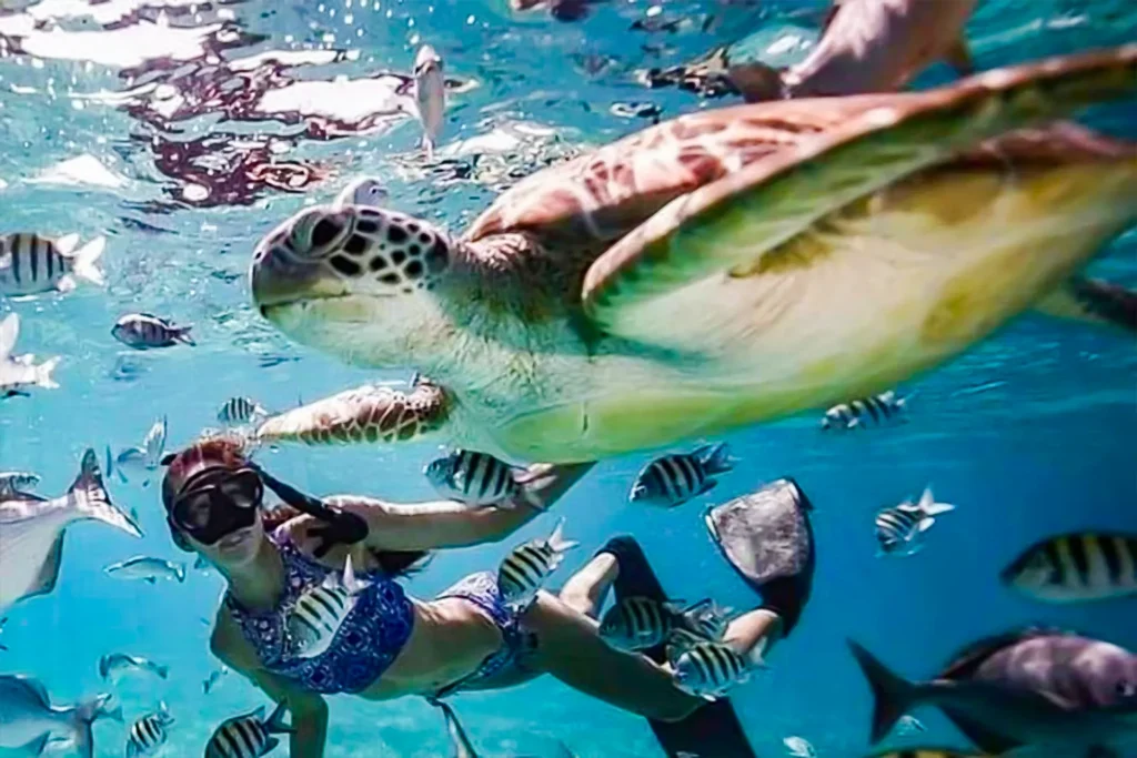 snorkeling trip Gili