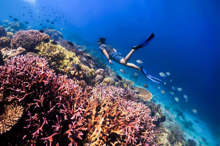 snorkeling trip Gili