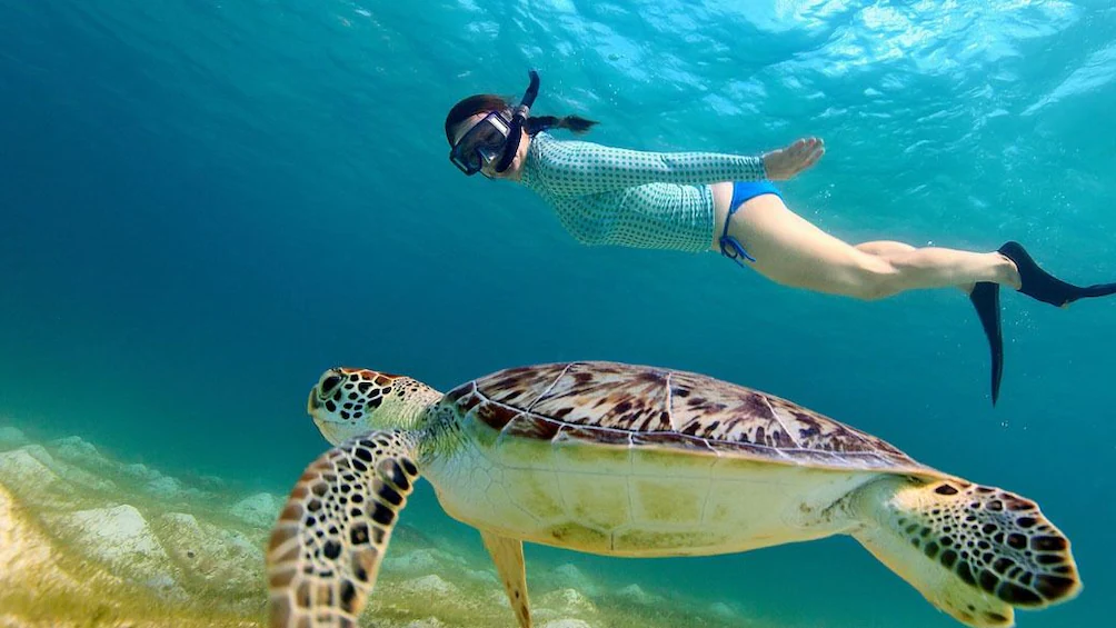 snorkeling Gili Trawangan