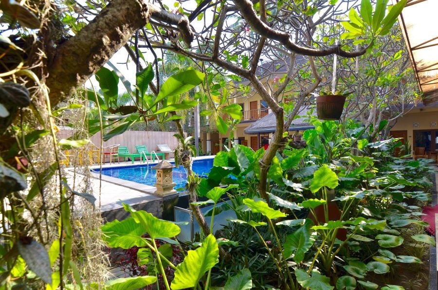 Central Inn Senggigi