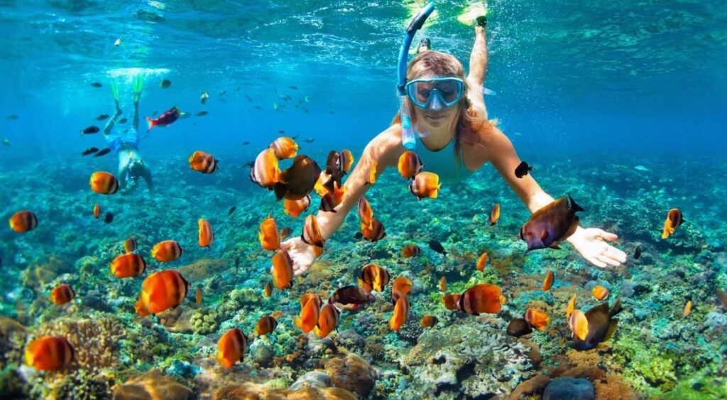 Snorkeling Gili Meno