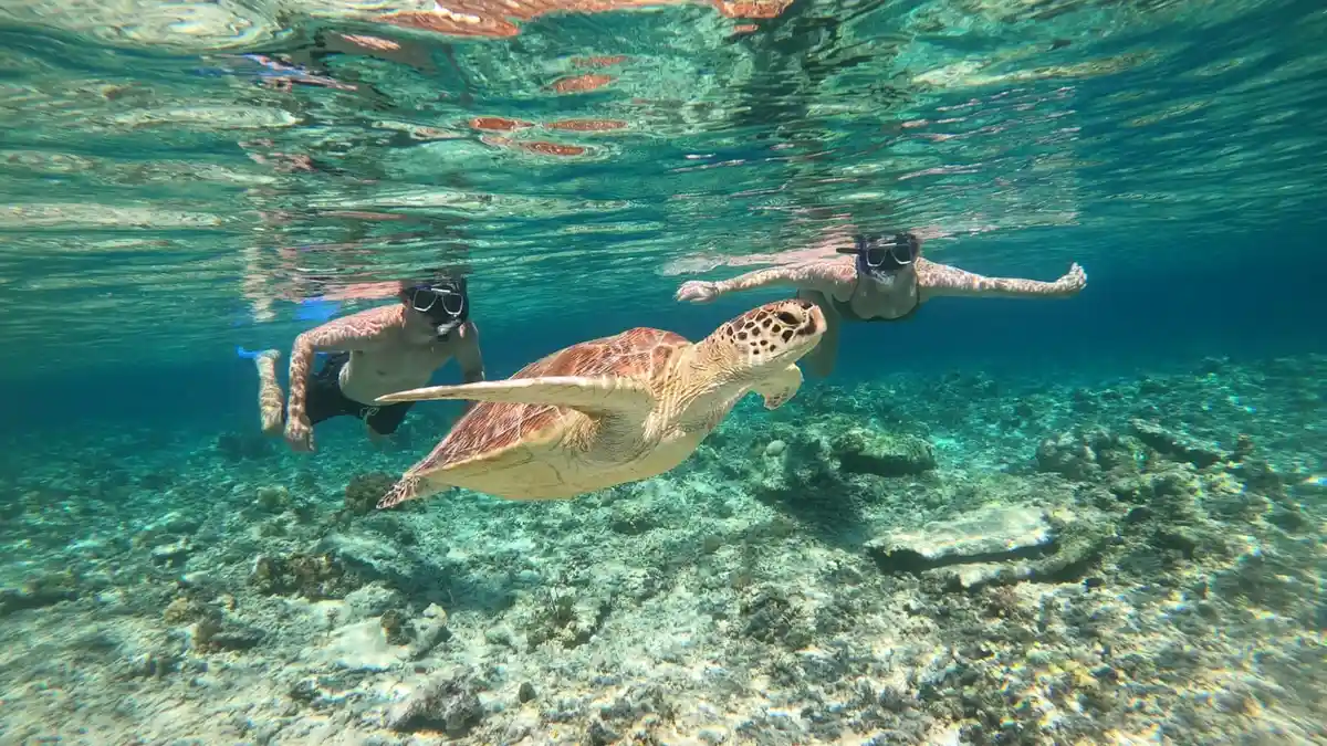 snorkeling di Lombok