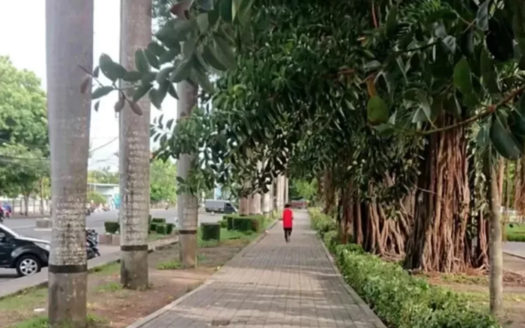 Taman Rinjani Selong