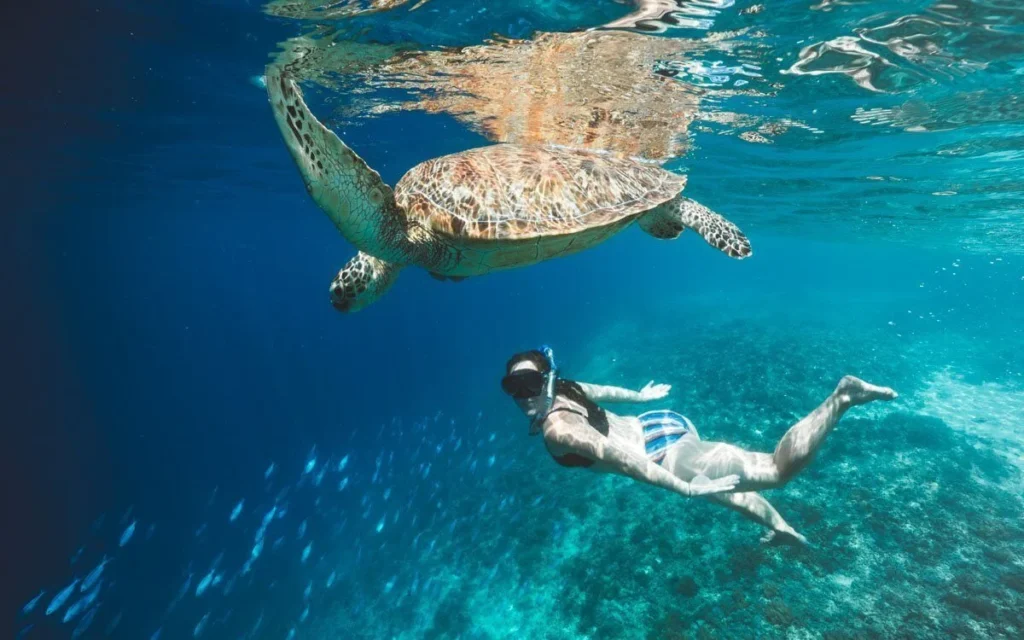 objek wisata di Lombok