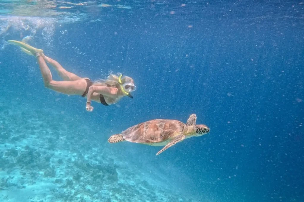 Gili Island tours
