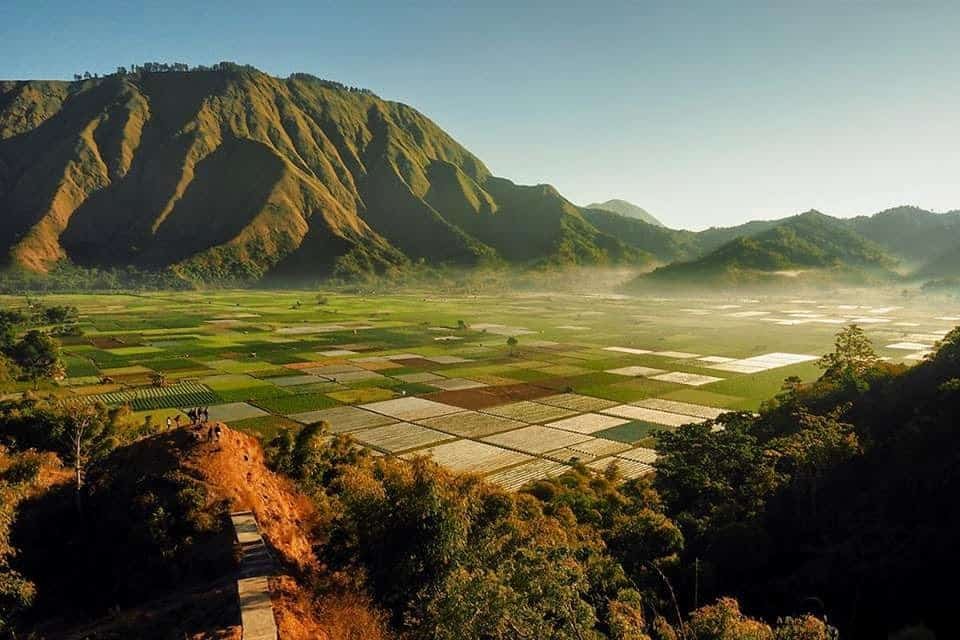 Teras sawah Sembalun