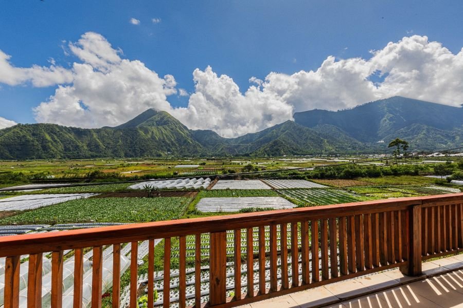 Teras sawah Sembalun