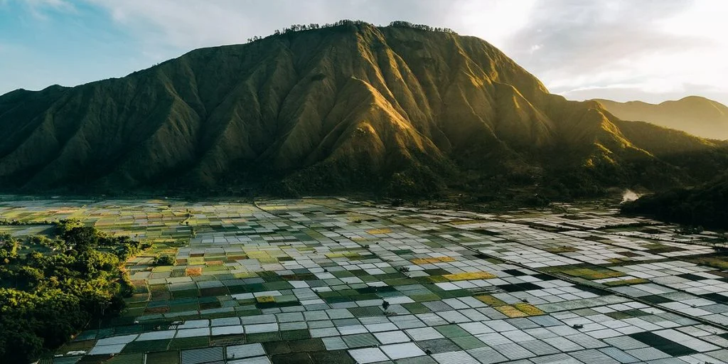 Teras sawah Sembalun
