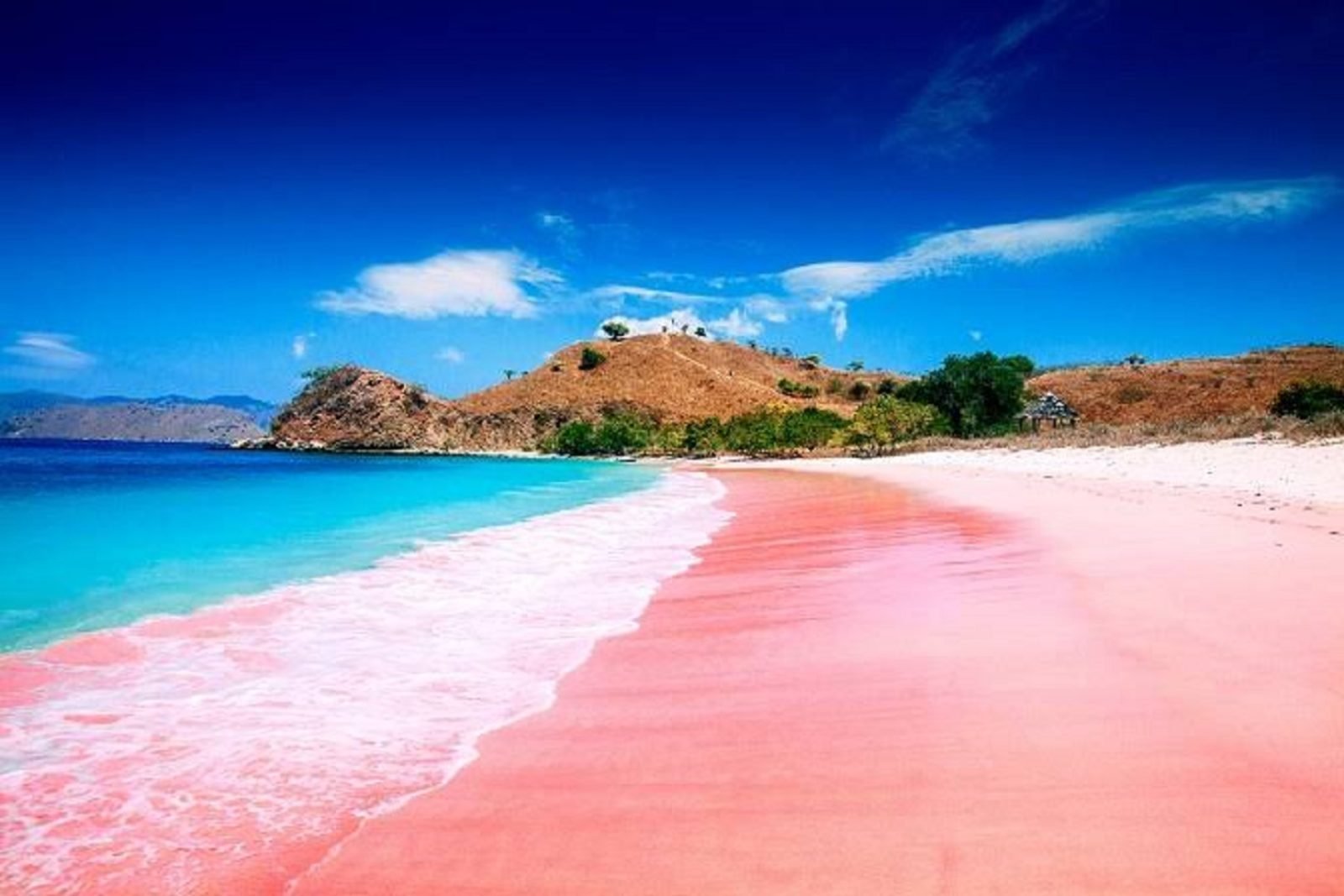 Wisata Lombok Timur
