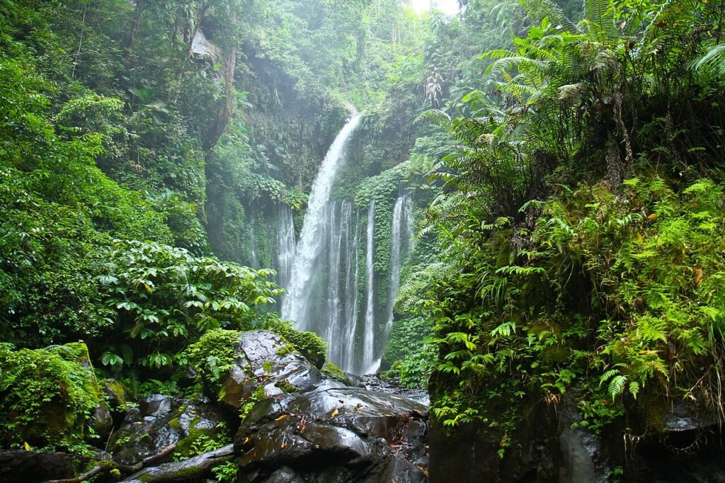 Air Terjun Tiu Kelep