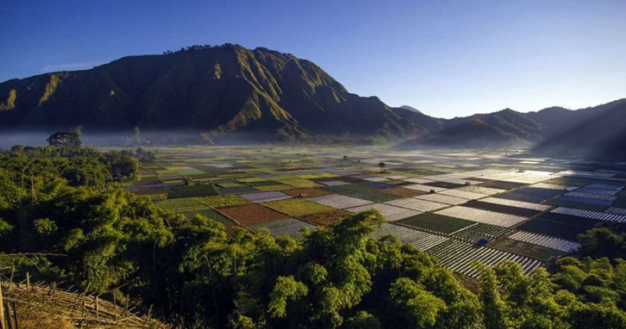 Sembalun Dimana