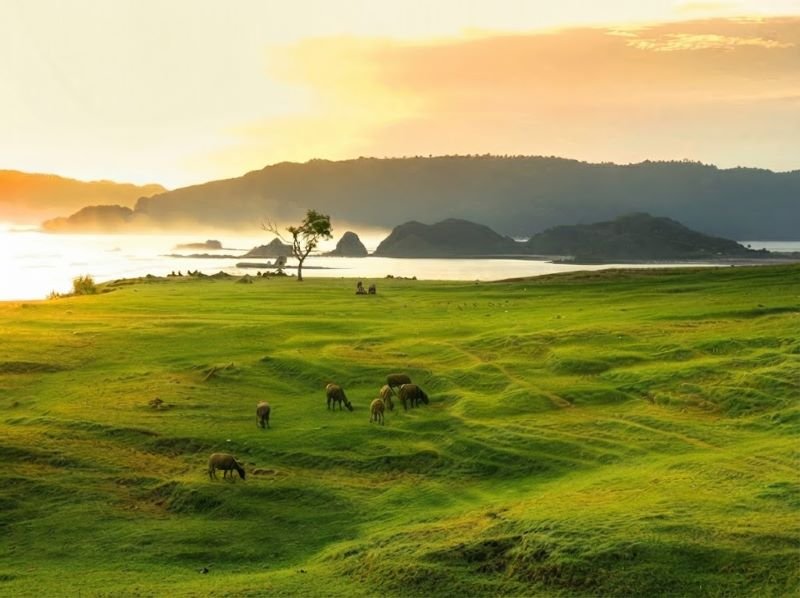 Merese Hill Lombok