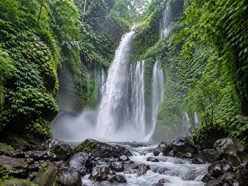 Air Terjun Tiu Kelep dengan aliran air di tengah kawasan hutan