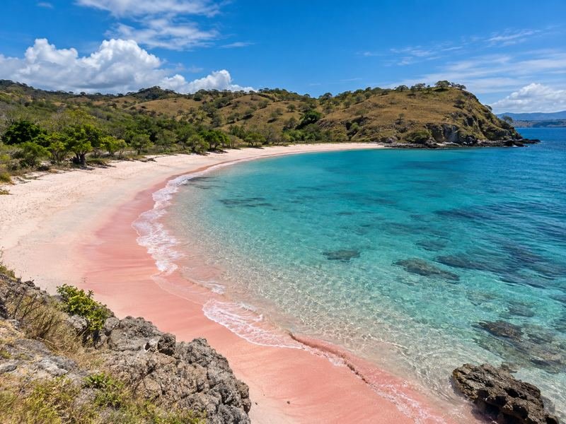 panorama pink beach lombok sekaroh kabupaten lombok timur nusa tenggara barat