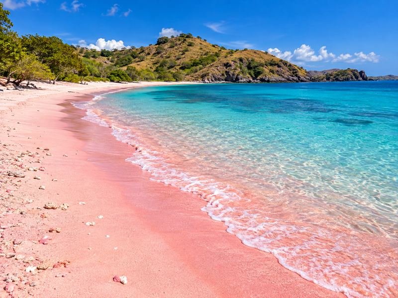 pemandangan pesisir pantai pink sekaroh dengan air laut biru